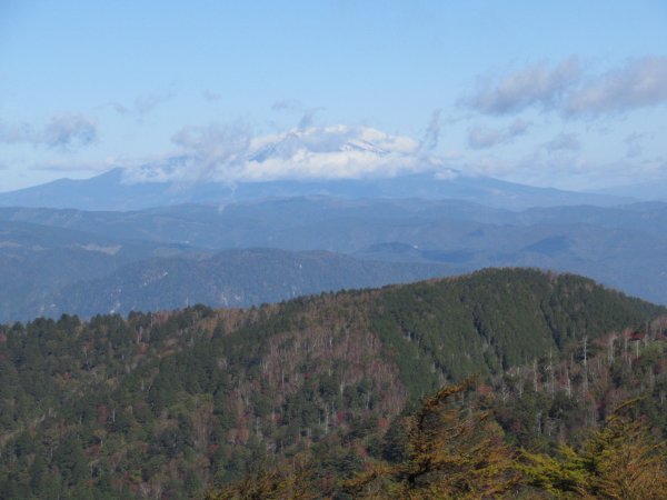 登山道